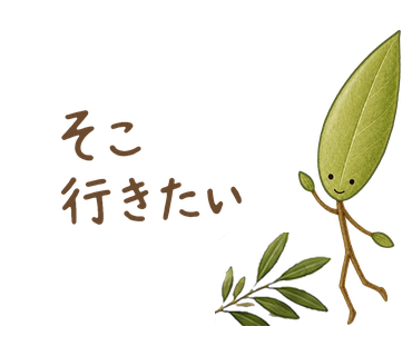 そこ 行きたい