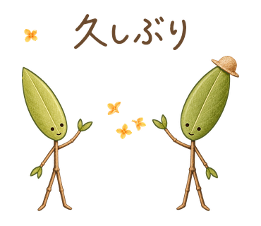久しぶり